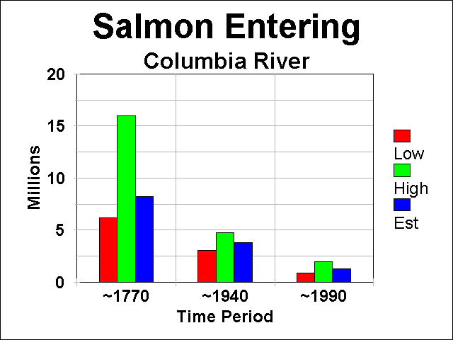 salmon abundance