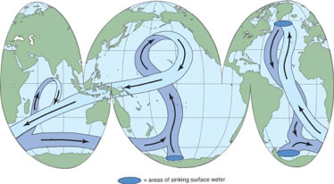 thermohaline